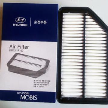 Фильтр воздушный 1.4/1.6 Solaris/Rio 281131R100 - Hyundai/Kia (Корея)